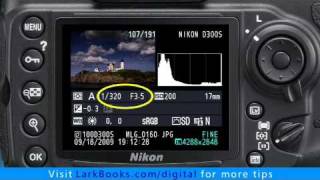 Nikon D300s How to Use Exposure Compensation [upl. by Coveney]