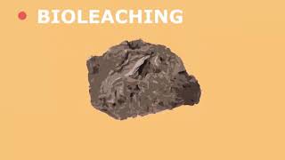 Future Extraction Methods Bioleaching and Phytomining [upl. by Olegna]