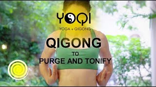 Qigong to Purge and Tonify [upl. by Nofets]