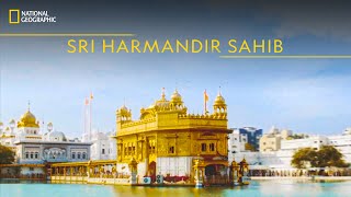 Sri Harmandir Sahib  Indias Megakitchens  National Geographic [upl. by Anirpas]