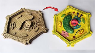 Cardboard Plant Cell Model  DIY Project [upl. by Fabron]