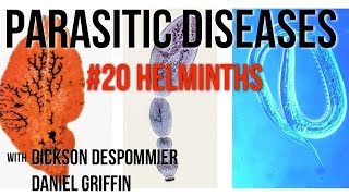 Parasitic Diseases Lectures 20 Helminths [upl. by Nnayllehs]