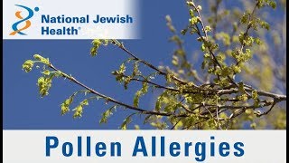 Food allergies and intolerance Whats the difference BBC Stories [upl. by Ahsiya428]