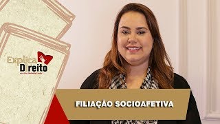 Explica Direito Filiação Socioafetiva  2019 [upl. by Lap255]