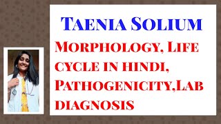 Taenia Solium Morphology Life cycle in hindi PathogenicityLab diagnosis [upl. by Nerret]