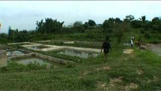 Aquaculture In Laos [upl. by Wilbur]