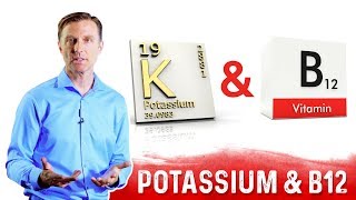 Potassium and Vitamin B12 Balance Explained by DrBerg [upl. by Lorain349]