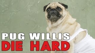 Die Hard With Pugs [upl. by Casteel]