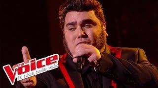 Francis Cabrel – La Corrida  Yoann Launay  The Voice France 2015  Prime 2 [upl. by Xymenes]