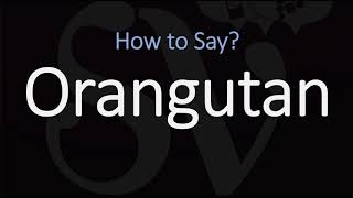 How to Pronounce Orangutan CORRECTLY [upl. by Analat]