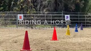 Guiding your Horse through an Obstacle Course [upl. by Allbee375]