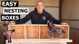 Nesting Boxes for Chickens  How to Build Chicken Nest Boxes [upl. by Deyes]