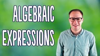 Algebraic Expressions Basics [upl. by Shoifet219]