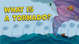 What is a Tornado How is a Tornado Formed Tornado Facts  Tornado Facts for Kids  Tornados [upl. by Ezana]