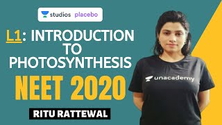 L1 Introduction to Photosynthesis  Photosynthesis Complete NCERT Review  Target NEET 2020 [upl. by Moffat]