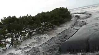 Japan Tsunami 2011  One Brave Soul [upl. by Nosylla158]