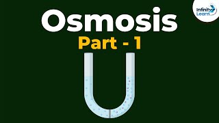 What is Osmosis  Part 1  Cell  Infinity Learn [upl. by Strickler]