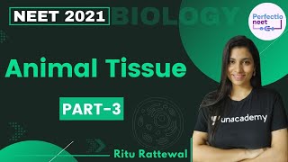 Animal Tissue  Part 3  NEET 2021  NEET Biology  Ritu Rattewal [upl. by Novla]