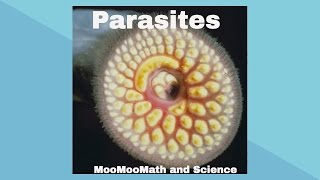 ParasitesSymbiotic Relationships [upl. by Karisa490]