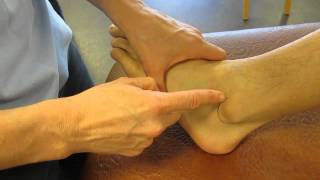 Lateral Malleolus Fibula Ankle Palpation [upl. by Eniale]