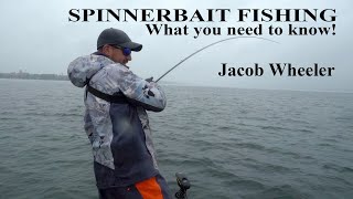 The Best Spinnerbait Fishing Tips Ever  Ft Jacob Wheeler [upl. by Jemina]