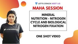 Mineral Nutrition  Nitrogen Cycle and Biological Nitrogen Fixation  NEET Biology  NEET 2020 [upl. by Pamelina]