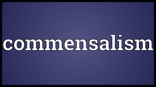 Commensalism Meaning [upl. by Iruyas]