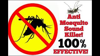 FREE anti Mosquito sound 100 EFFECTIVE [upl. by Aneda]