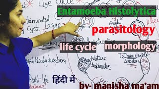 Entamoeba Histolytica  Life Cycle  Morphology  Parasitology By Manisha Maam [upl. by Torhert524]