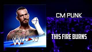 CM Punk  This Fire Burns  AE Arena Effects [upl. by Lewse]