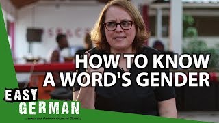 How to know a words gender  Super Easy German 70 [upl. by Natsyrk856]