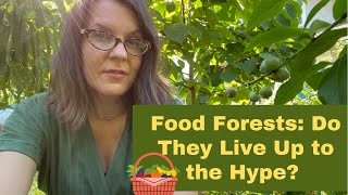 My Front Yard Food Forest Does it Really Feed People Are Food Forests a True Solution [upl. by Adnorahc749]