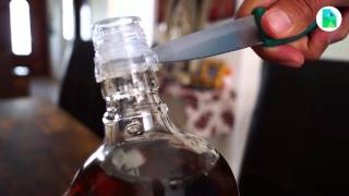 how to remove a tequila bottle cap [upl. by Ailemak]