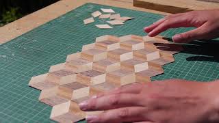 Making a 3D Cube effect in veneer [upl. by Bainter]