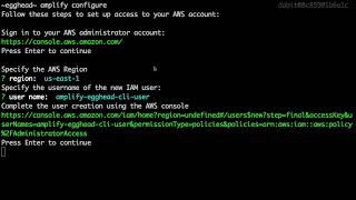 Installing amp Configuring the AWS Amplify CLI [upl. by Boigie]