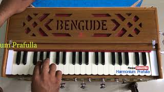 Harmonium basic Lesson Part 1 [upl. by Juni]