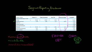 Segment Reporting Disclosures [upl. by Ernaldus367]