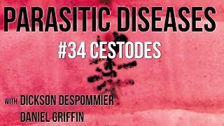 Parasitic Diseases Lectures 34 Cestodes [upl. by Eiblehs]