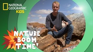 Petrified Forest National Park  Nature Boom Time  natgeokids [upl. by Sapphire]