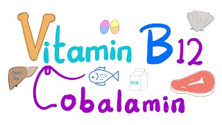 Vitamin B12 Cobalamin 🐚 🥩 🐠  Most Comprehensive Explanation [upl. by Junko499]