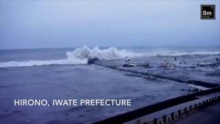 Primary substance Tohoku Earthquake and Tsunami Japan 2011 [upl. by Lejeune]