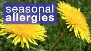 Allergies  Causes Symptoms and Treatment Options [upl. by Rosalba]