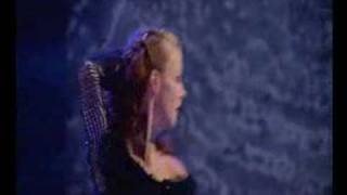 Riverdance  Live From New York City 1996 [upl. by Waine]