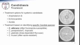 Candida Systemic Candidiasis Treatment amp Prevention [upl. by Immas765]